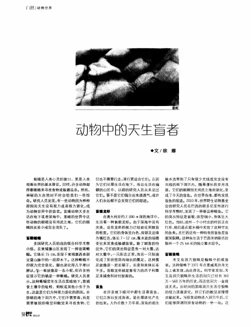 动物中的天生盲者