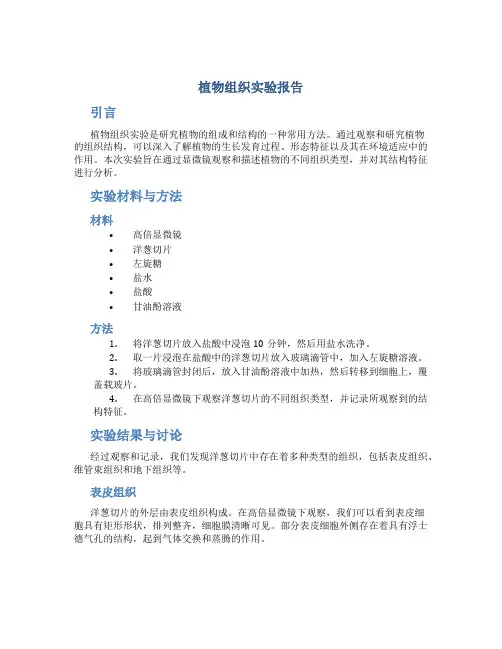植物的组织实验报告