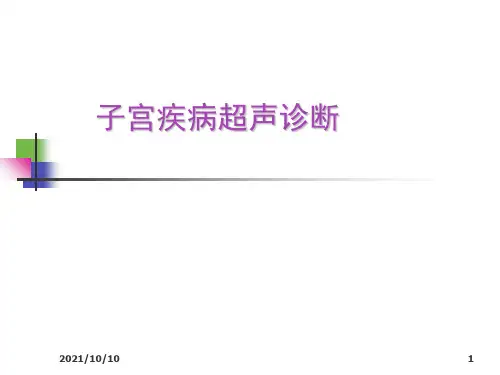 子宫疾病超声诊断【优质PPT】