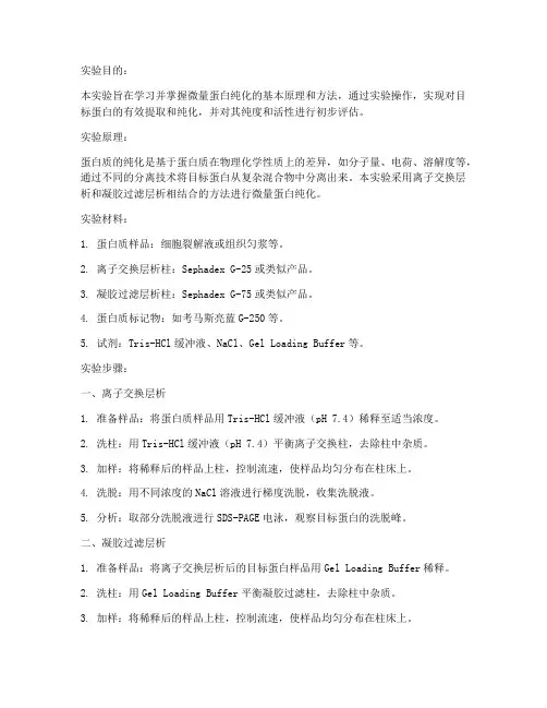 微量蛋白纯化实验报告