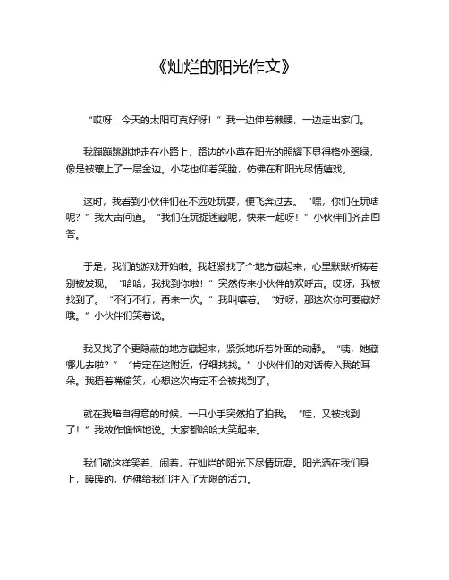 《灿烂的阳光作文》