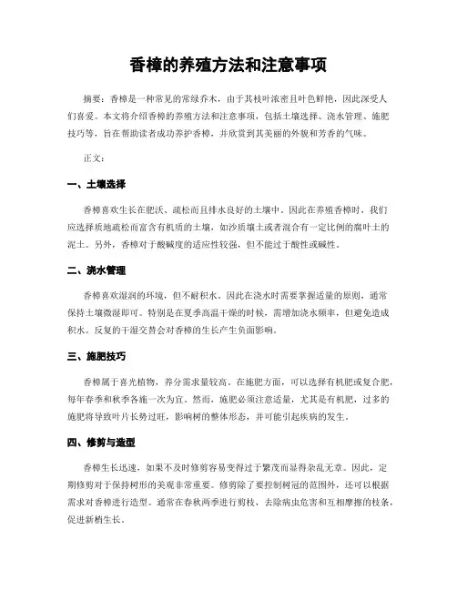 香樟的养殖方法和注意事项