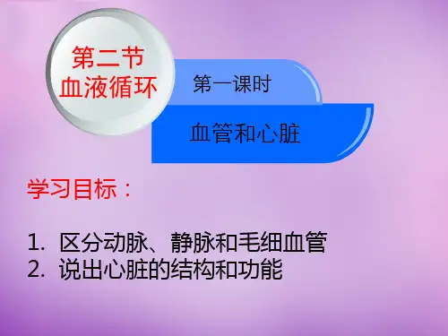苏教版七年级下册生物 10.2人体的血液循环 课件在