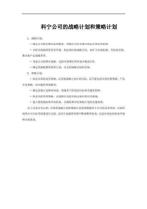 科宁公司的战略计划和策略计划