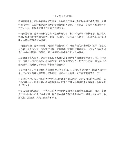 分公司财管管理制度