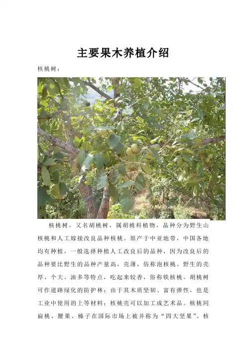 园林常用果木介绍及种殖技术