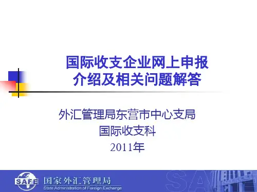 国际收支统计间接申报培训讲义3