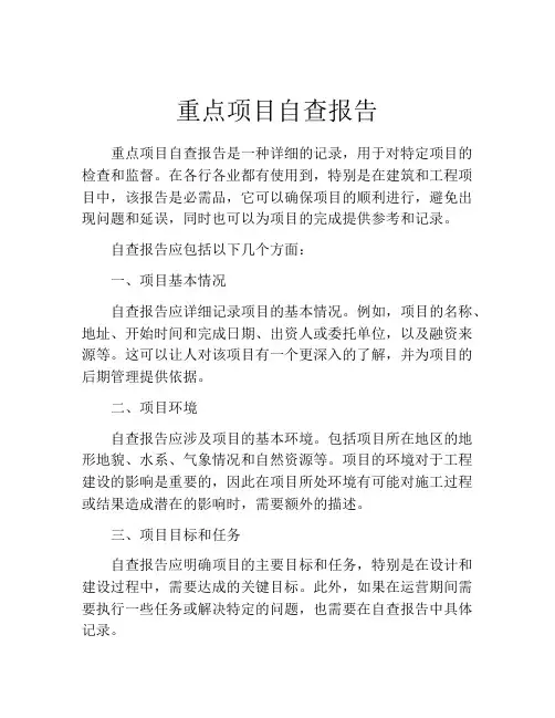 重点项目自查报告