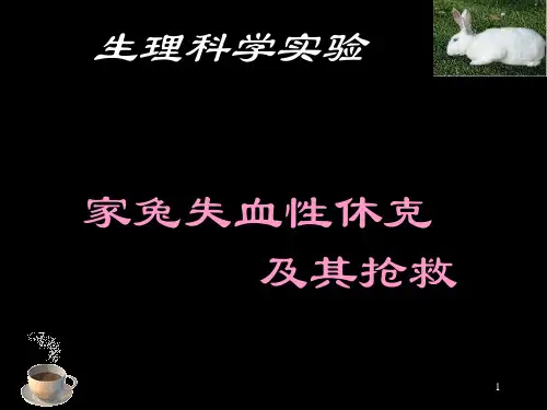 家兔失血性休克