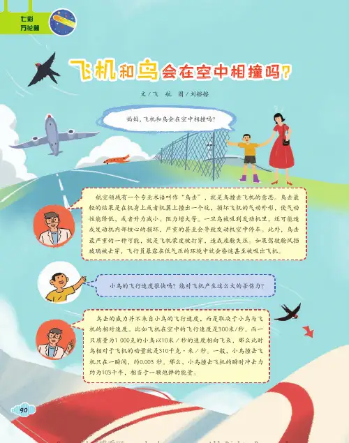 飞机和鸟会在空中相撞吗？