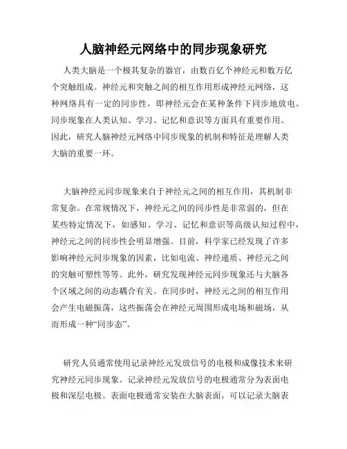 人脑神经元网络中的同步现象研究