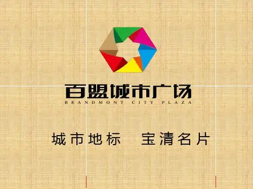 项目简介-宝清百盟广场