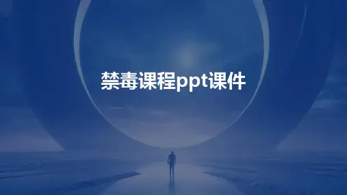 禁毒课程ppt课件