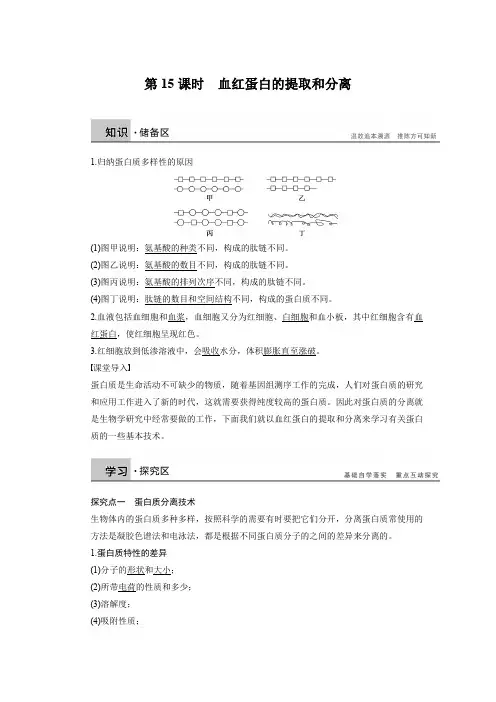 血红蛋白的提取和分离   基础知识