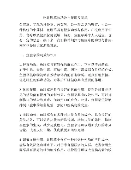 吃鱼腥草的功效与作用及禁忌