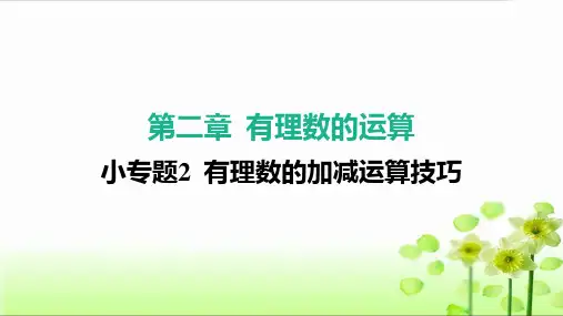 小专题2 有理数的加减运算技巧