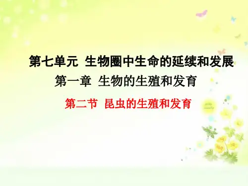 八下生物七单元第一章昆虫的生殖和发育课件