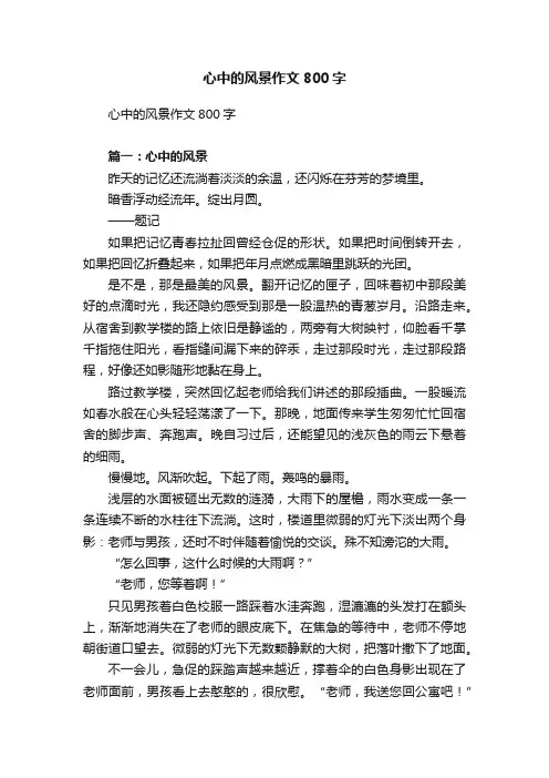 心中的风景作文800字