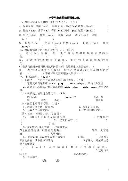 小学毕业班基础题强化训练