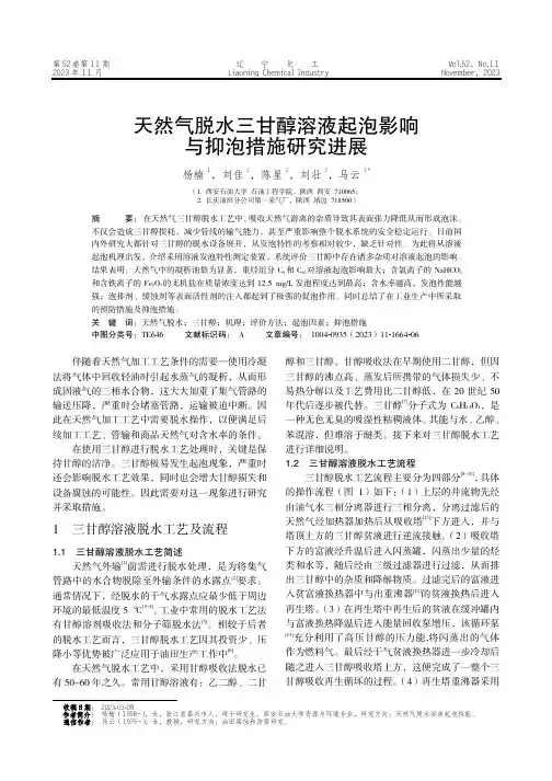 天然气脱水三甘醇溶液起泡影响与抑泡措施研究进展