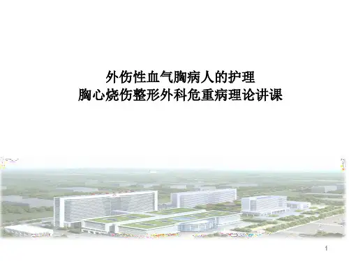 血气胸病人的护理 ppt课件