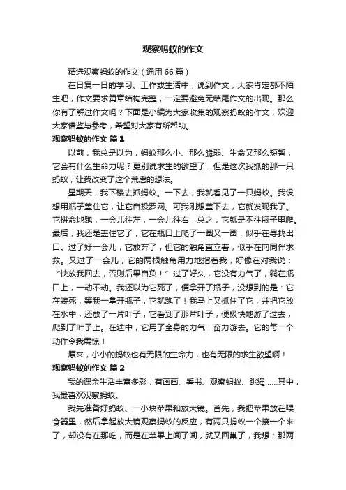 精选观察蚂蚁的作文（通用66篇）