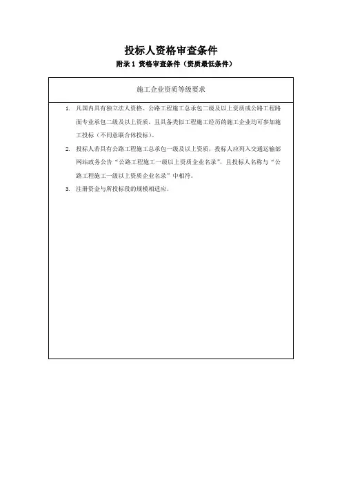 投标人资格审查条件