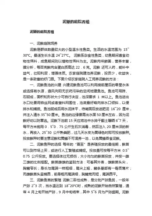 泥鳅的庭院养殖