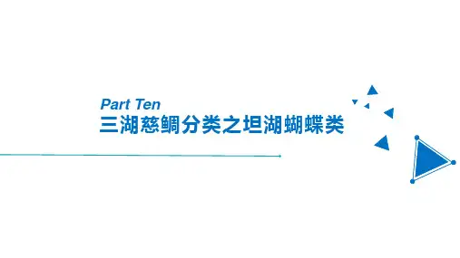 三湖慈鲷分类之坦湖蝴蝶类