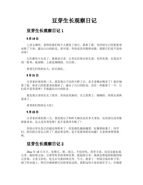 豆芽生长观察日记