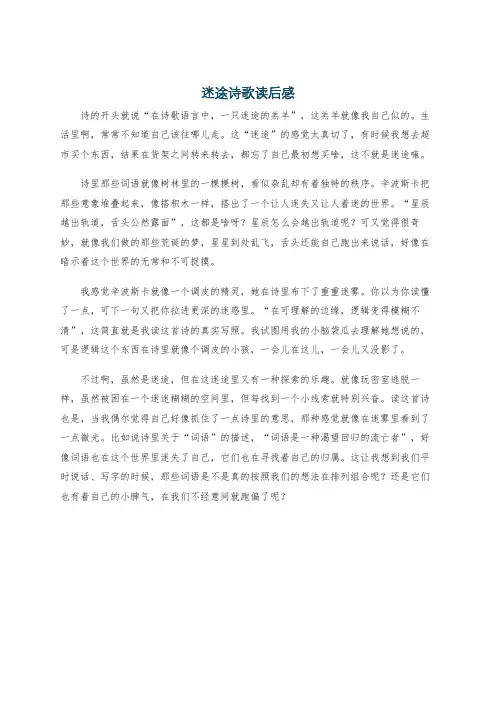 迷途诗歌读后感