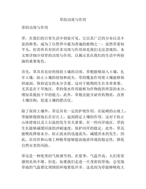 草的功效与作用