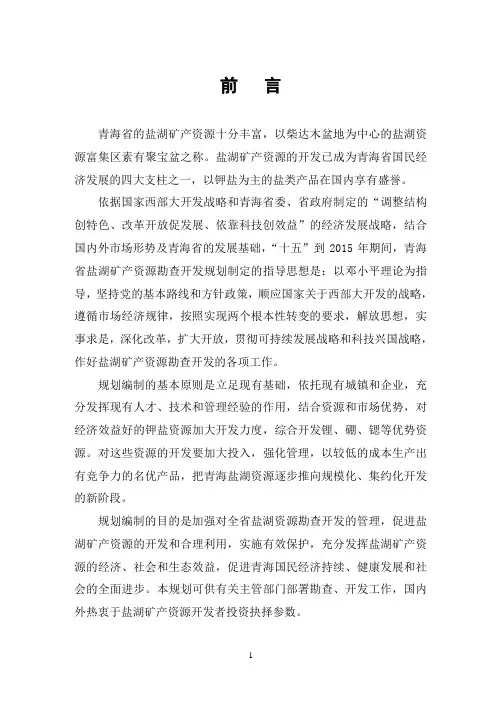 青海省盐湖矿产资源勘查开发规划