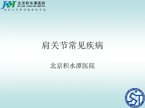 肩关节讲课PPT课件