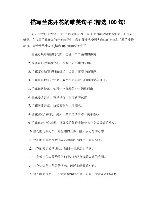 描写兰花开花的唯美句子(精选100句)