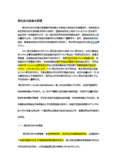 原位杂交技术(in situ hybridization)