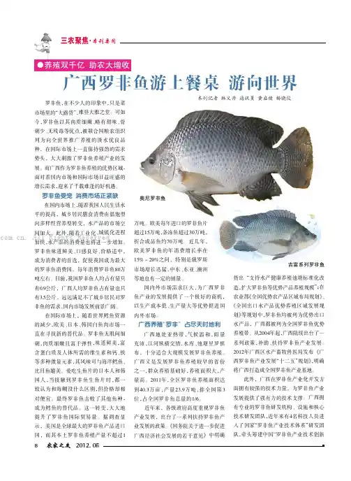 广西罗非鱼游上餐桌游向世界