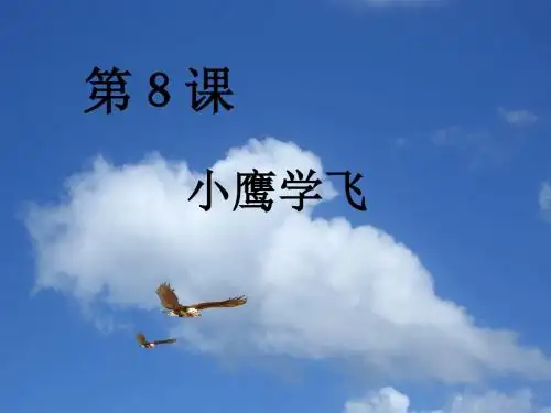 二年级上册语文课件-8 小鹰学飞-苏教版