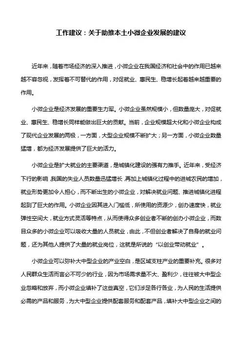 工作建议：关于助推本土小微企业发展的建议
