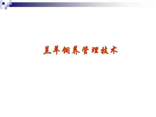 羔羊饲养管理技术讲解课件