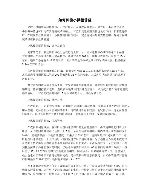 如何种植小拱棚甘蓝
