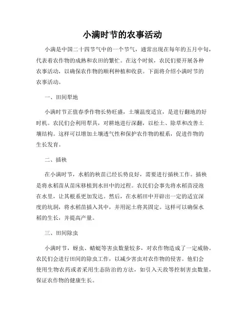 小满时节的农事活动