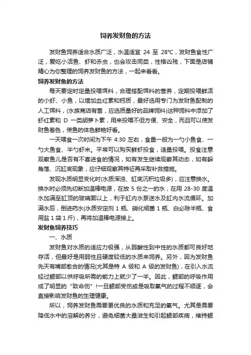 饲养发财鱼的方法
