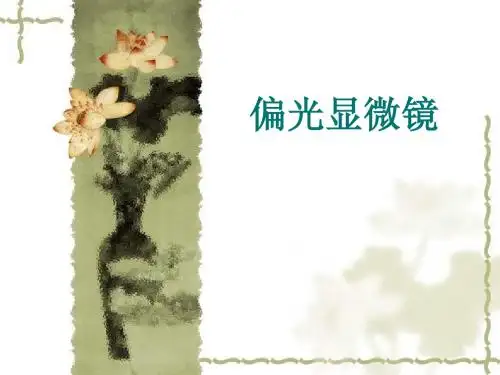 偏光显微镜