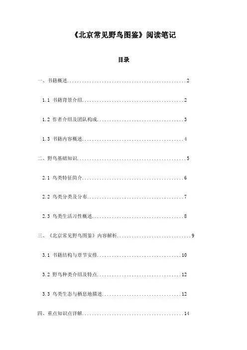 北京常见野鸟图鉴_随笔
