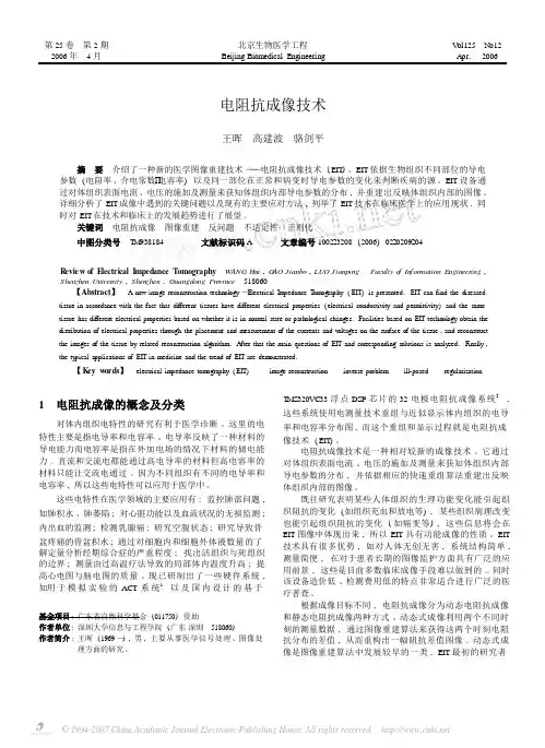 电阻抗成像技术