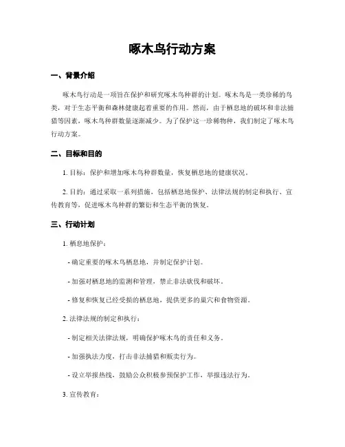 啄木鸟行动方案