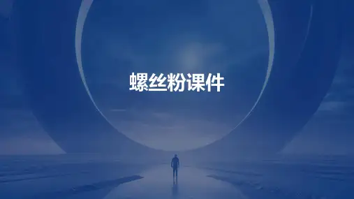 螺丝粉ppt课件