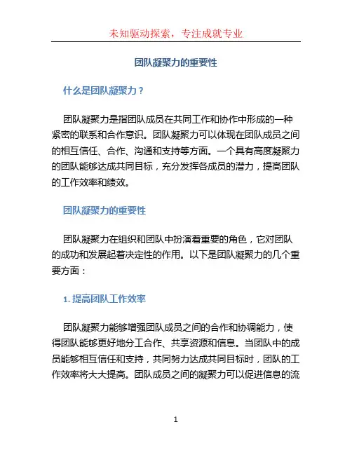团队凝聚力的重要性