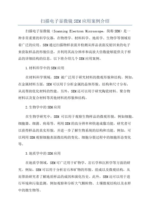 扫描电子显微镜SEM应用案例介绍